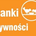 featured image Bank Żywności